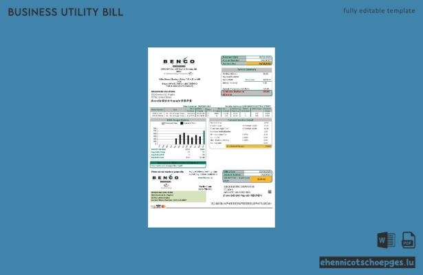 USA Minnesota Benco Electric Stromrechnung – einfach ausfüllbare Beispielrechnung für Unternehmen (Vorschau)